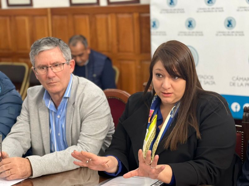 El Gobierno salte&ntilde;o impulsa procedimientos &aacute;giles para una mejor gesti&oacute;n minera