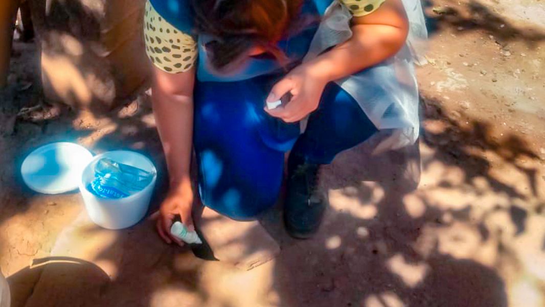 Acciones preventivas y de mitigación frente al brote de dengue.