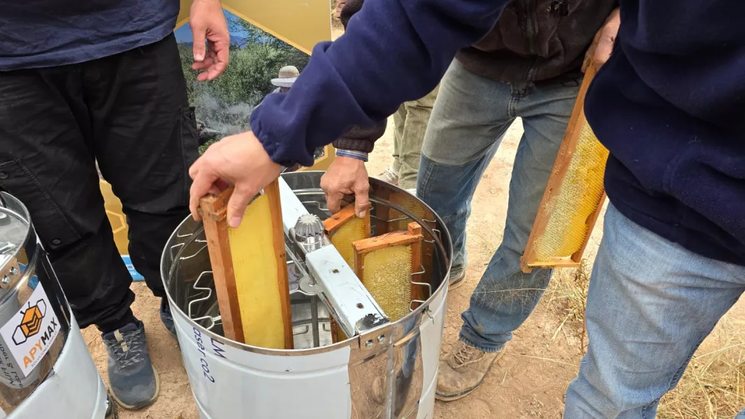 Desarrollo Social entregó herramientas a emprendedores del Valle Calchaquí y el norte