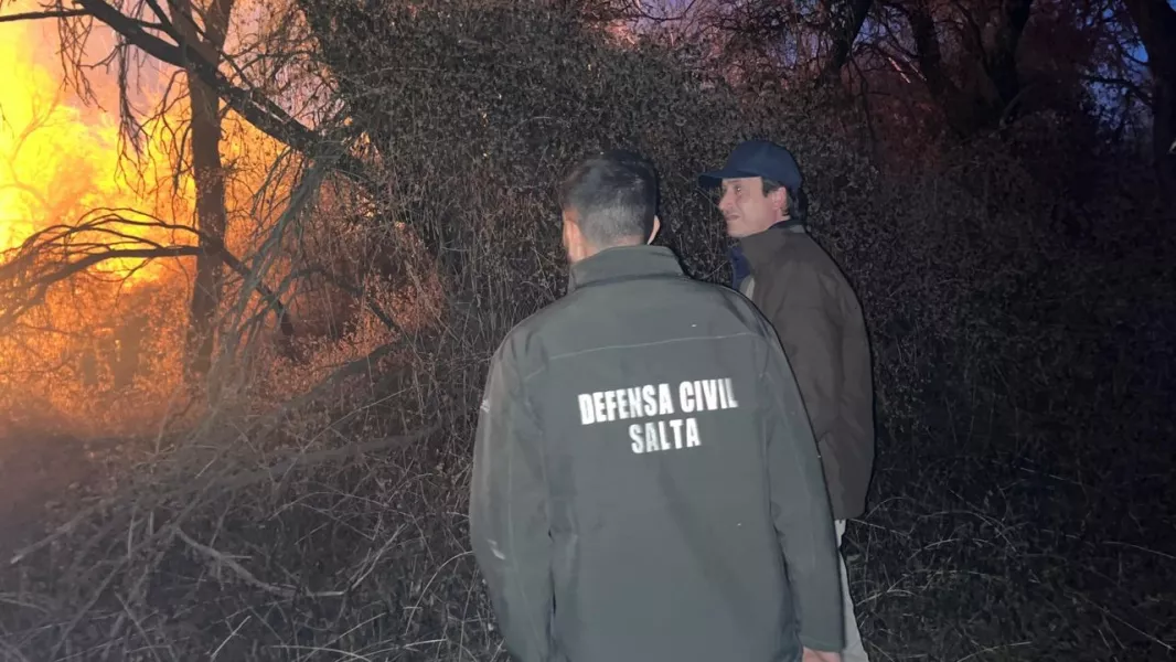 Intenso trabajo de equipos de combate de incendios en Cafayate