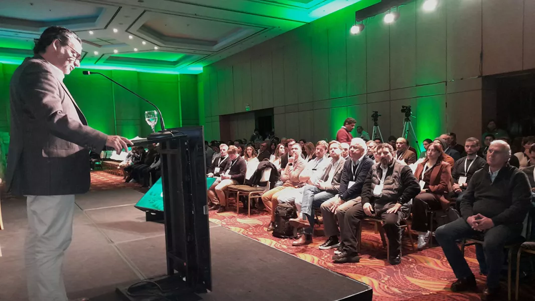 Salta reafirmó su liderazgo a nivel nacional en la producción de legumbres.