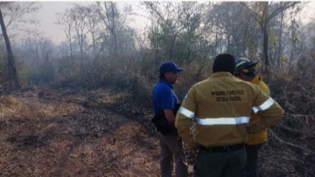 Intenso trabajo para sofocar el incendio forestal en Colonia Santa Rosa