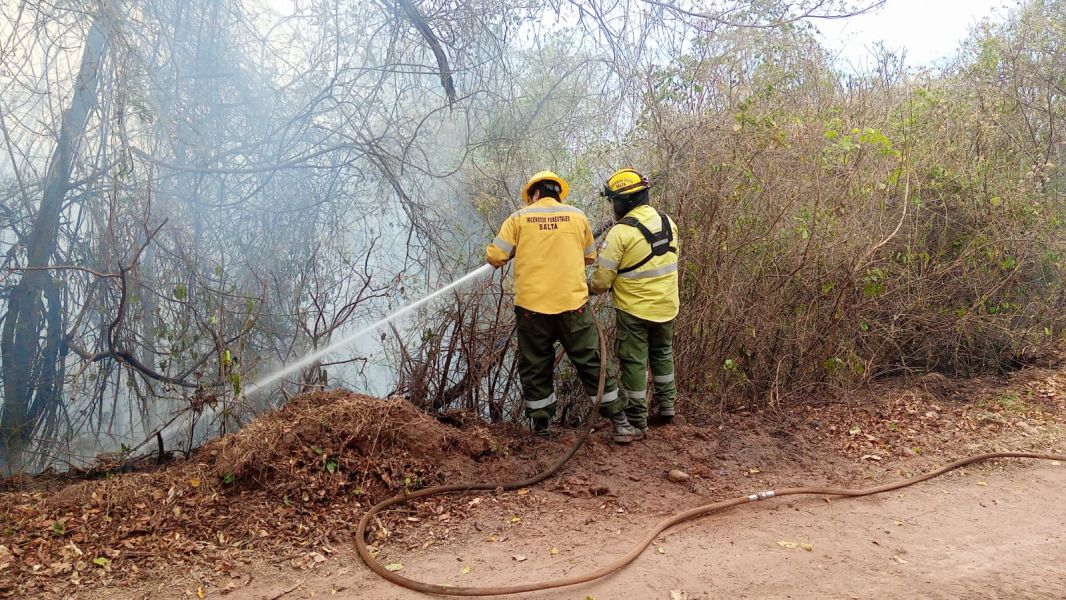 Incendios forestales en la Provincia