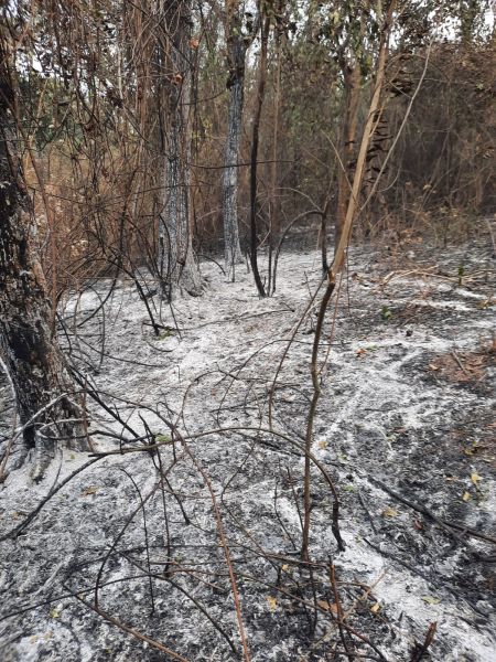 Se logró controlar el incendio en Chicoana