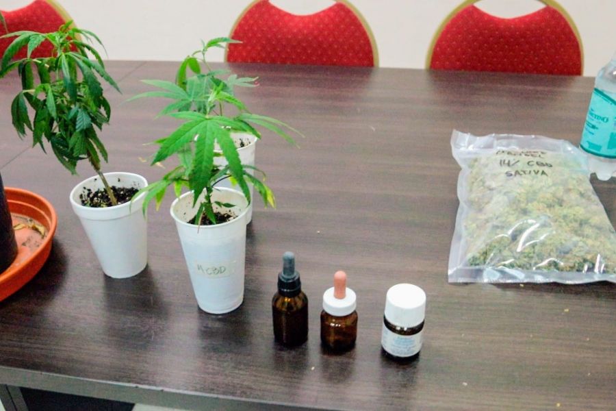 El hospital Señor del Milagro capacita a profesionales sobre uso de cannabis