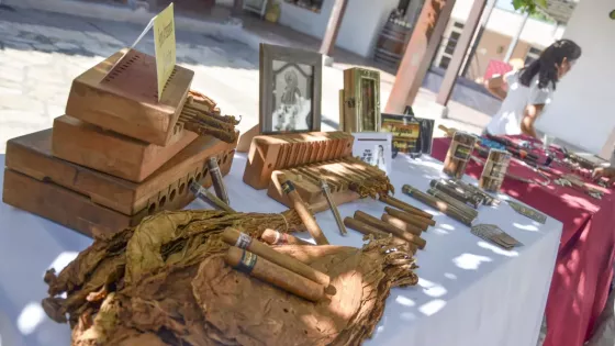 Semana del Artesano en Salta