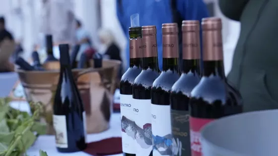 Cachi vivió la Vendimia de altura con ocupación plena y gran convocatoria de visitantes