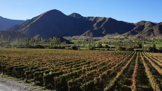 Cachi vivió la Vendimia de altura con ocupación plena y gran convocatoria de visitantes