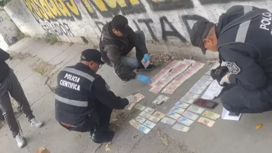 Se desarticuló una banda delictiva que operaba violentando vehículos en San Lorenzo Chico