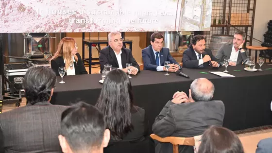 Mesa del Litio: Sáenz pidió reglas claras a nivel país para garantizar previsibilidad e inversiones