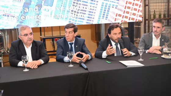 Mesa del Litio: Sáenz pidió reglas claras a nivel país para garantizar previsibilidad e inversiones
