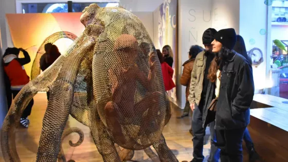 “Museos en Frecuencia” reunió a miles de visitantes en toda la provincia