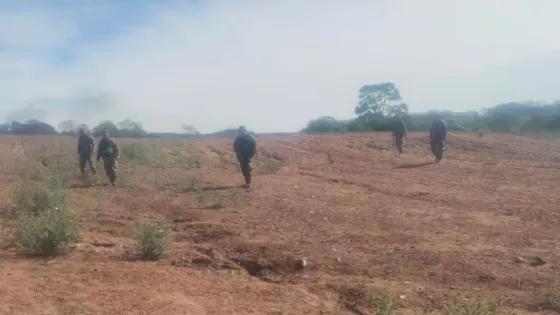 Golpe al abigeato: Se desarticularon dos bandas delictivas en el sur provincial