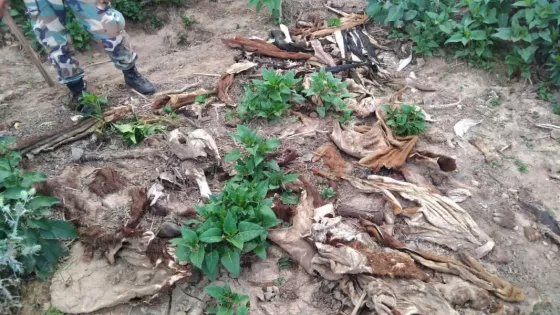 Golpe al abigeato: Se desarticularon dos bandas delictivas en el sur provincial