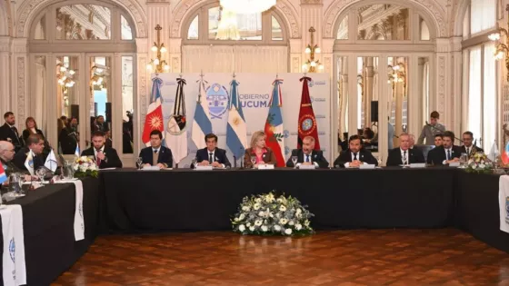 En el Consejo de Seguridad Sáenz reiteró la necesidad de radarizar la frontera norte para fortalecer la lucha contra el narcotráfico