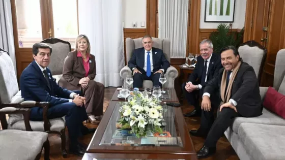 En el Consejo de Seguridad Sáenz reiteró la necesidad de radarizar la frontera norte para fortalecer la lucha contra el narcotráfico