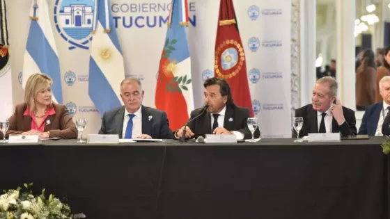 En el Consejo de Seguridad Sáenz reiteró la necesidad de radarizar la frontera norte para fortalecer la lucha contra el narcotráfico