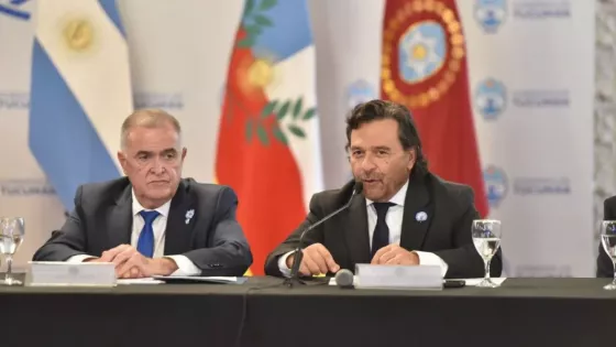 En el Consejo de Seguridad Sáenz reiteró la necesidad de radarizar la frontera norte para fortalecer la lucha contra el narcotráfico