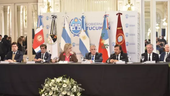 En el Consejo de Seguridad Sáenz reiteró la necesidad de radarizar la frontera norte para fortalecer la lucha contra el narcotráfico