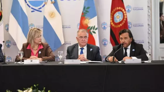 En el Consejo de Seguridad Sáenz reiteró la necesidad de radarizar la frontera norte para fortalecer la lucha contra el narcotráfico