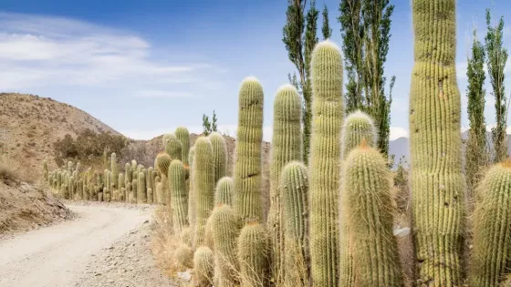 Cachi representará a la Argentina en el certamen mundial Best Tourism Villages 2026