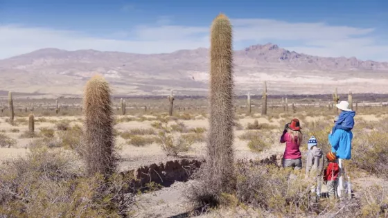 Cachi representará a la Argentina en el certamen mundial Best Tourism Villages 2026