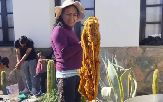 Con amplia participación se realizó el Taller de Tintes Naturales en Payogasta