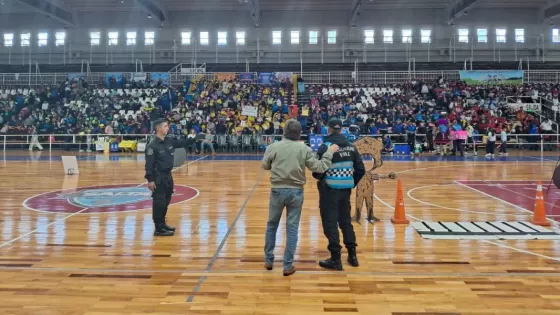 Integrantes de los Cuerpos Infantiles de Policía se convirtieron en “Pequeños Guardines del Tránsito”
