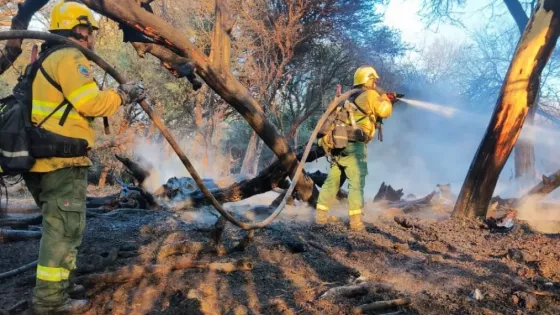 Brigadistas y Bomberos Voluntarios trabajan para contener un incendio forestal en Cafayate