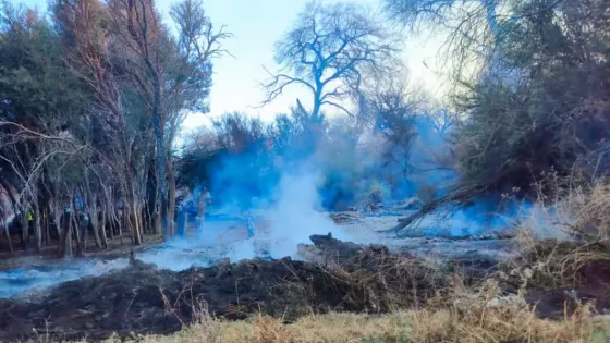 Brigadistas y Bomberos Voluntarios trabajan para contener un incendio forestal en Cafayate