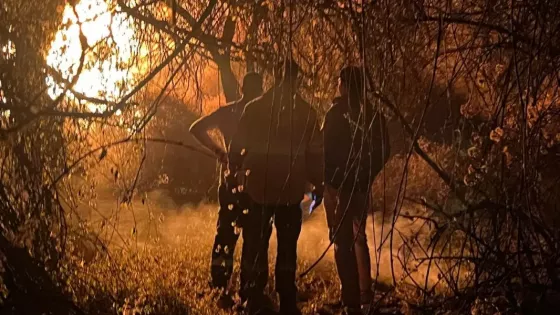 Intenso trabajo de equipos de combate de incendios en Cafayate