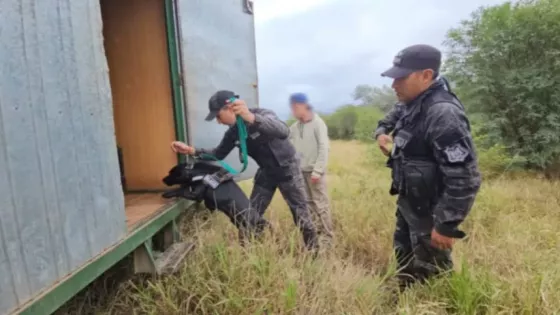 Operativo de seguridad interfuerzas en puntos estratégicos de Salta y Jujuy