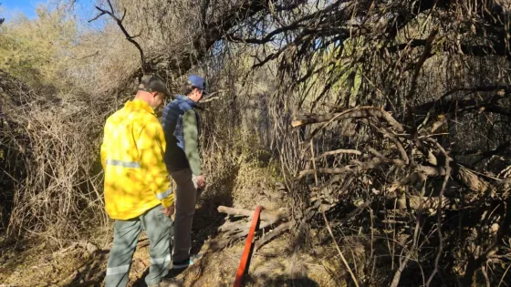 Refuerzan las acciones para contener el incendio forestal en Cafayate