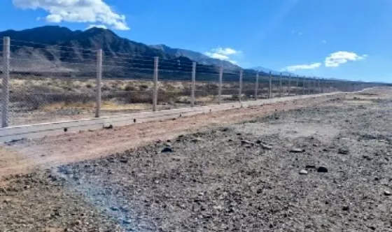 Pista