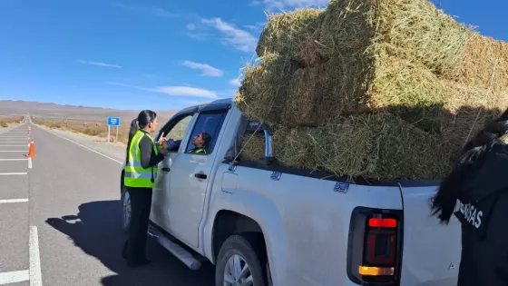 Realizaron un Operativo Preventivo Integral Vial en la ruta provincial 33