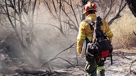 Los equipos de combate contra incendios forestales continúan trabajando en Cafayate