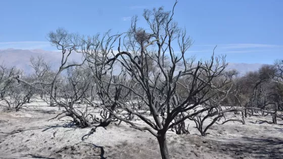 Los equipos de combate contra incendios forestales continúan trabajando en Cafayate