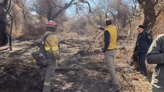 Intensificaron los trabajos de lucha contra los incendios en Cafayate