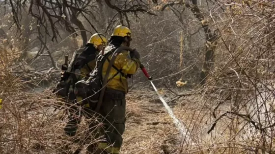 Intensificaron los trabajos de lucha contra los incendios en Cafayate
