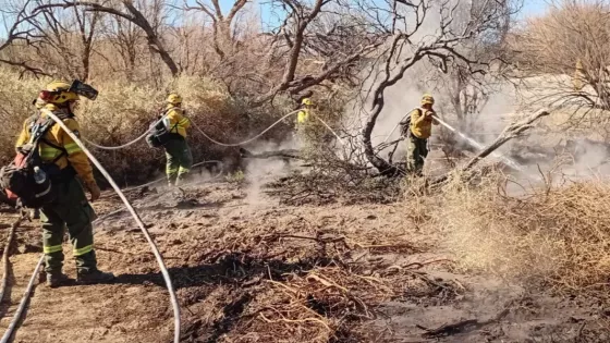 Intensificaron los trabajos de lucha contra los incendios en Cafayate