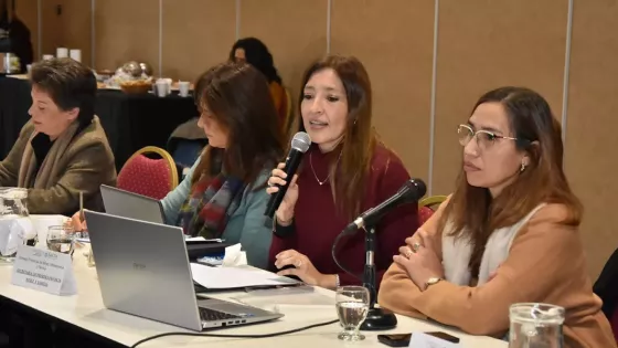 El Consejo Provincial de Niñez, Adolescencia y Familia realizó su primera sesión del año