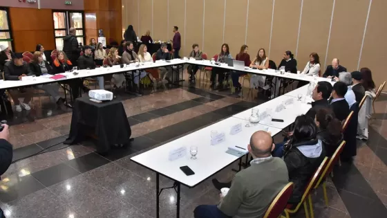 El Consejo Provincial de Niñez, Adolescencia y Familia realizó su primera sesión del año