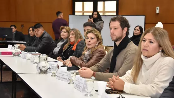 El Consejo Provincial de Niñez, Adolescencia y Familia realizó su primera sesión del año