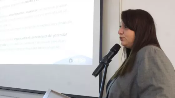 Estado, academia y sector privado abordaron los desafíos y la importancia de la exploración minera