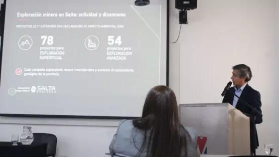 Estado, academia y sector privado abordaron los desafíos y la importancia de la exploración minera