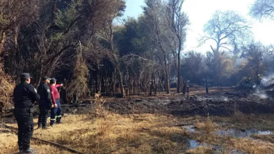 Investigadores de la Policía de Salta detuvieron a un hombre por incendios forestales en bosques nativos en Cafayate