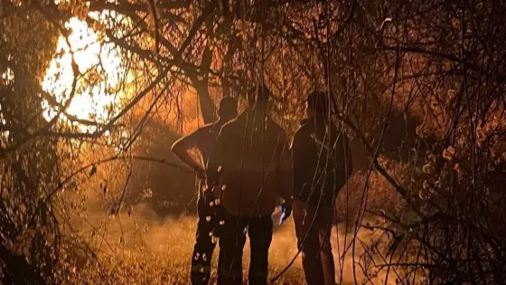Investigadores de la Policía de Salta detuvieron a un hombre por incendios forestales en bosques nativos en Cafayate
