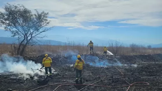 Controlaron focos de incendios de pastizales en la zona sur de la ciudad