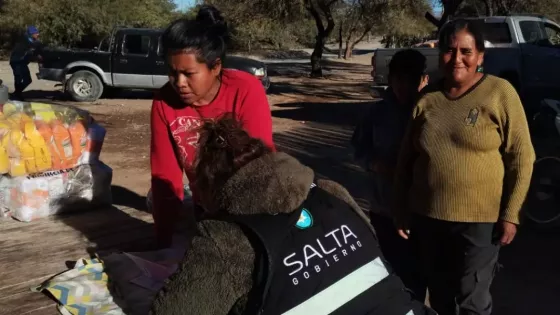 Familias originarias de nueve municipios recibieron más de 3000 módulos alimentarios