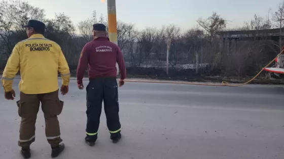 Equipos de emergencia trabajan intensamente para sofocar incendios